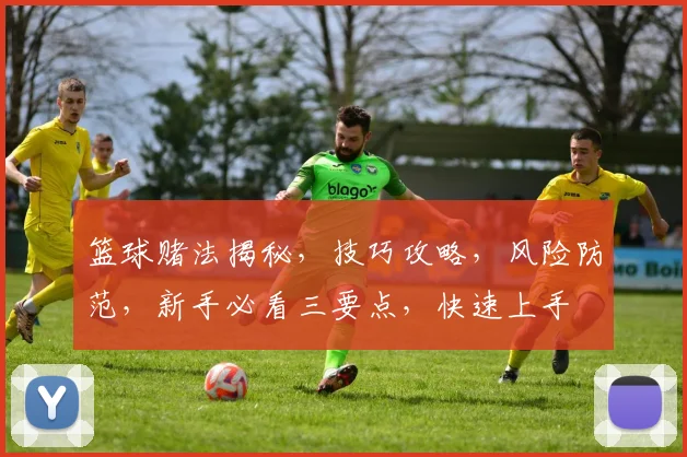 篮球赌法揭秘，技巧攻略，风险防范，新手必看三要点，快速上手