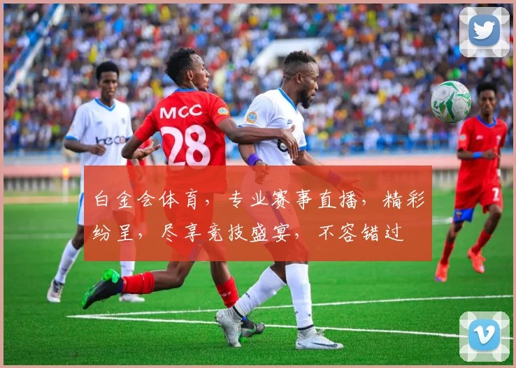 白金会体育，专业赛事直播，精彩纷呈，尽享竞技盛宴，不容错过